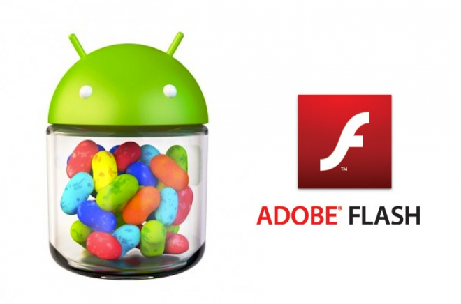 Adobe jelly bean Adobe jelly bean